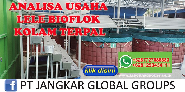 ANALISA USAHA LELE BIOFLOK KOLAM TERPAL AKHMAD FAUZI SH MH