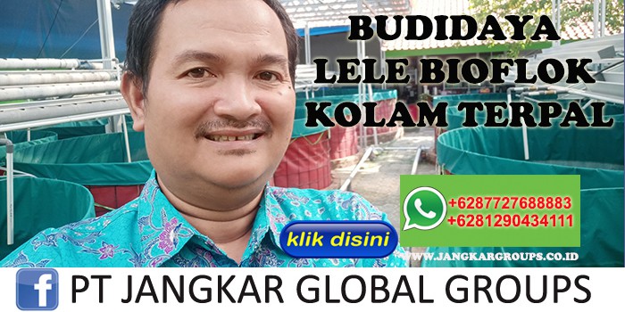 BUDIDAYA LELE BIOFLOK KOLAM TERPAL AKHMAD FAUZI SH MH