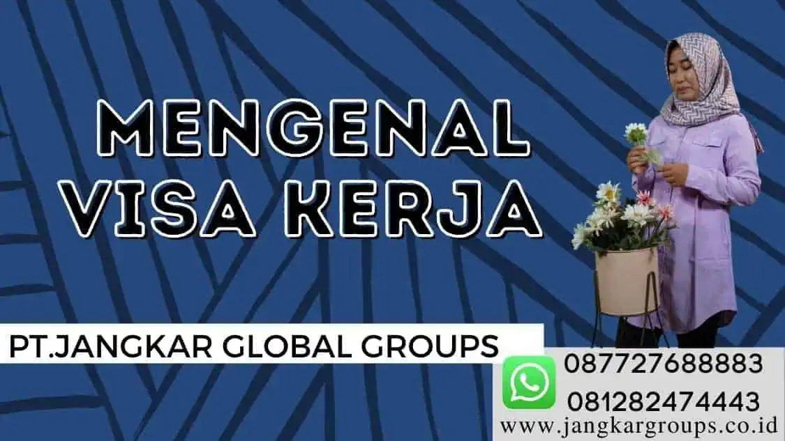 mengenal visa kerja