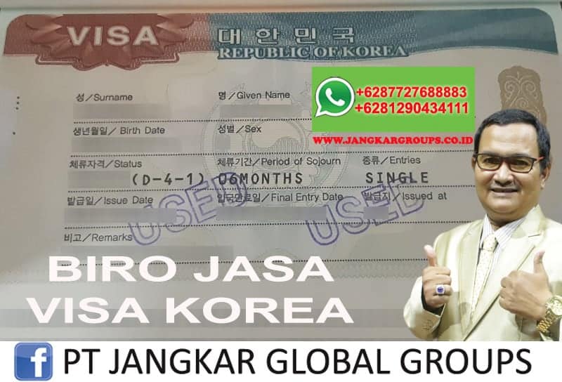 Biro jasa visa korea type D41