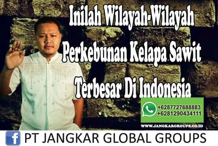 Inilah Wilayah-Wilayah Perkebunan Kelapa Sawit Terbesar Di Indonesia Mohan Se