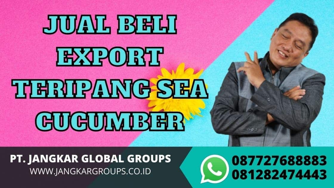 JUAL BELI EXPORT TERIPANG SEA CUCUMBER