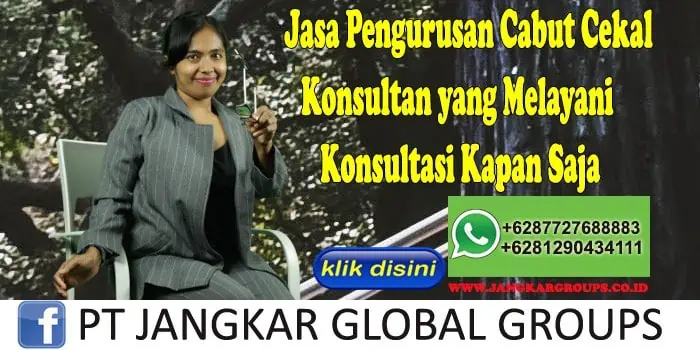 Jasa Pengurusan Cabut Cekal Konsultan yang Melayani Konsultasi Kapan Saja