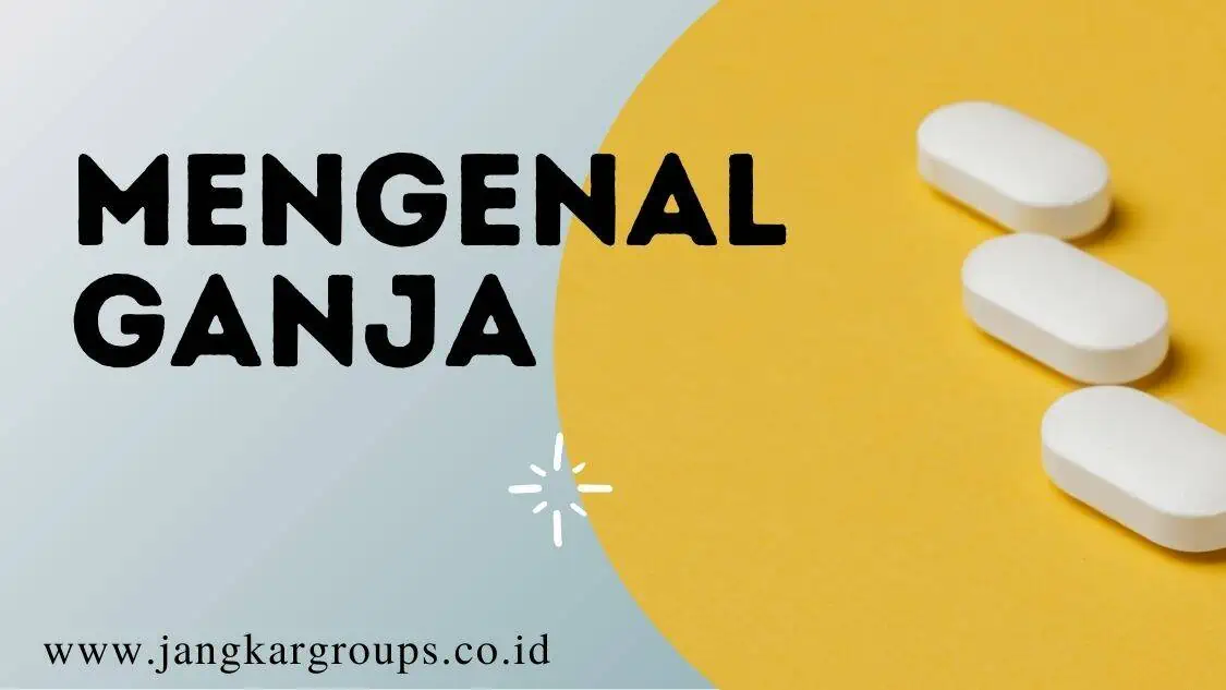 mengenal Ganja