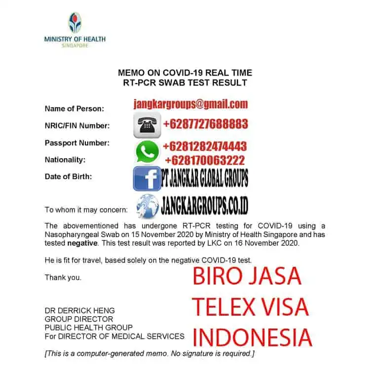 Contoh Surat Bebas Covid Singapore