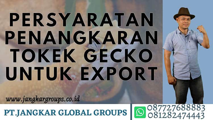 PERSYARATAN PENANGKARAN TOKEK GECKO UNTUK EXPORT