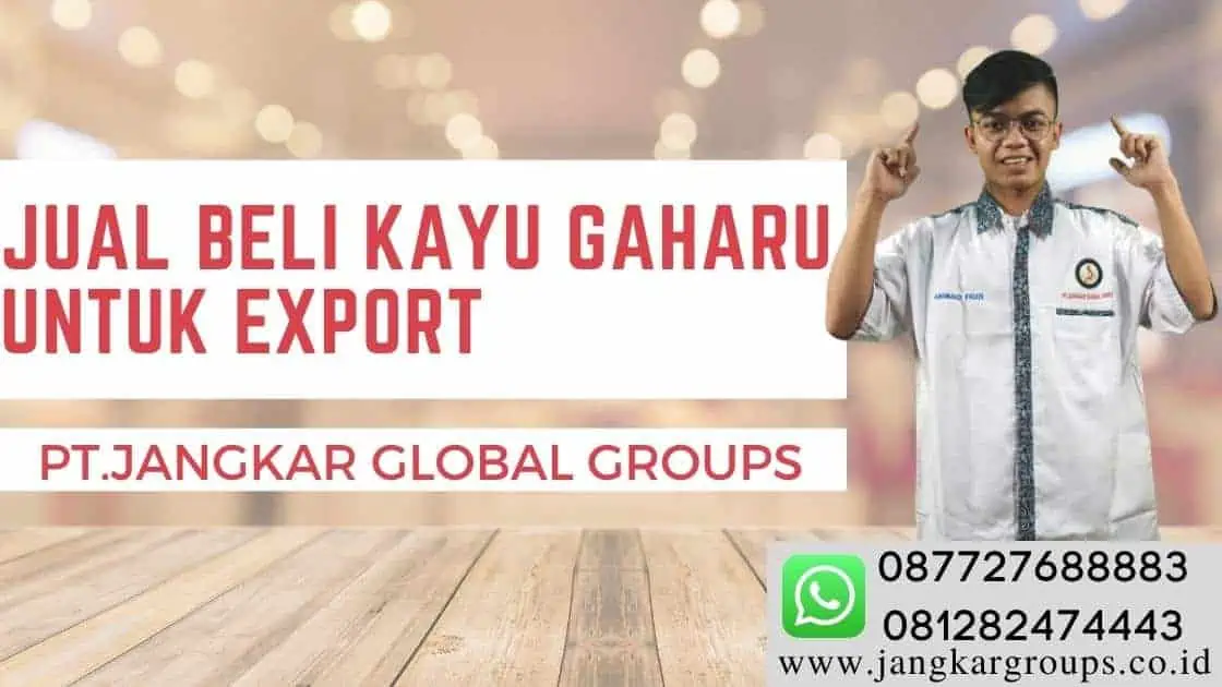 JUAL BELI KAYU GAHARU UNTUK EXPORT