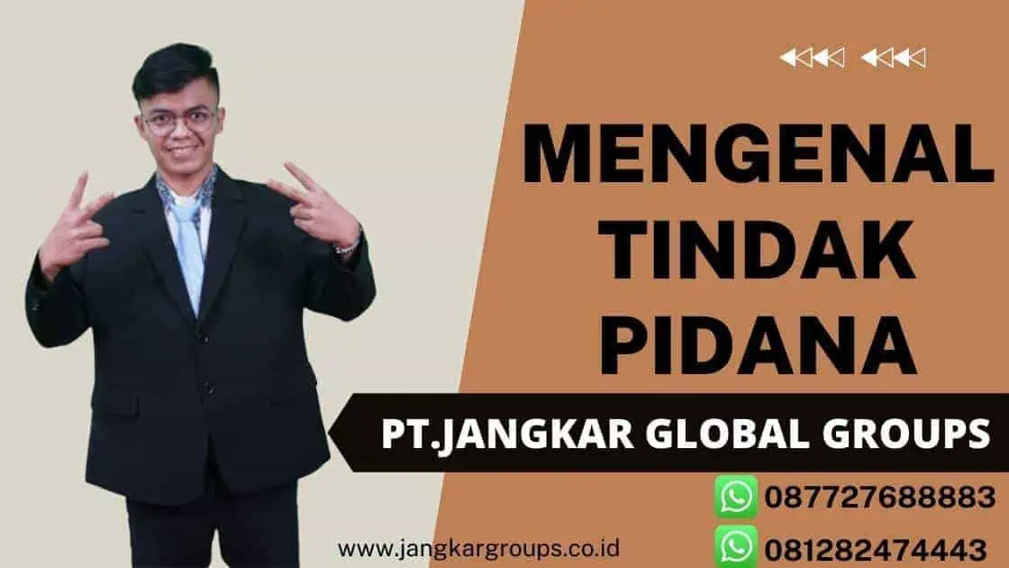 Tindak Pidana Ekonomi