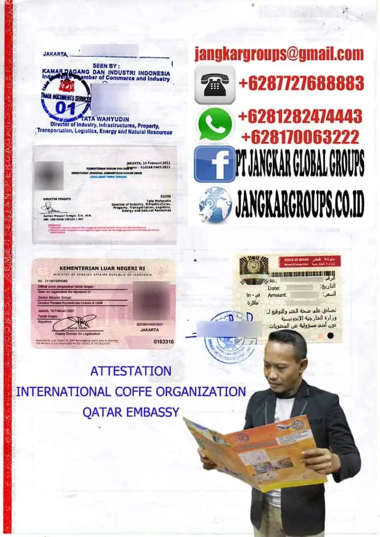 Attestation international coffe organization qatar embassy