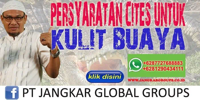 Persyaratan CITES untuk Kulit Buaya