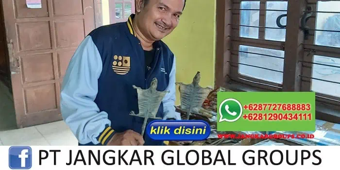 BISNIS EKSPOR TOKEK GEYCO HASIL PENANGKARAN