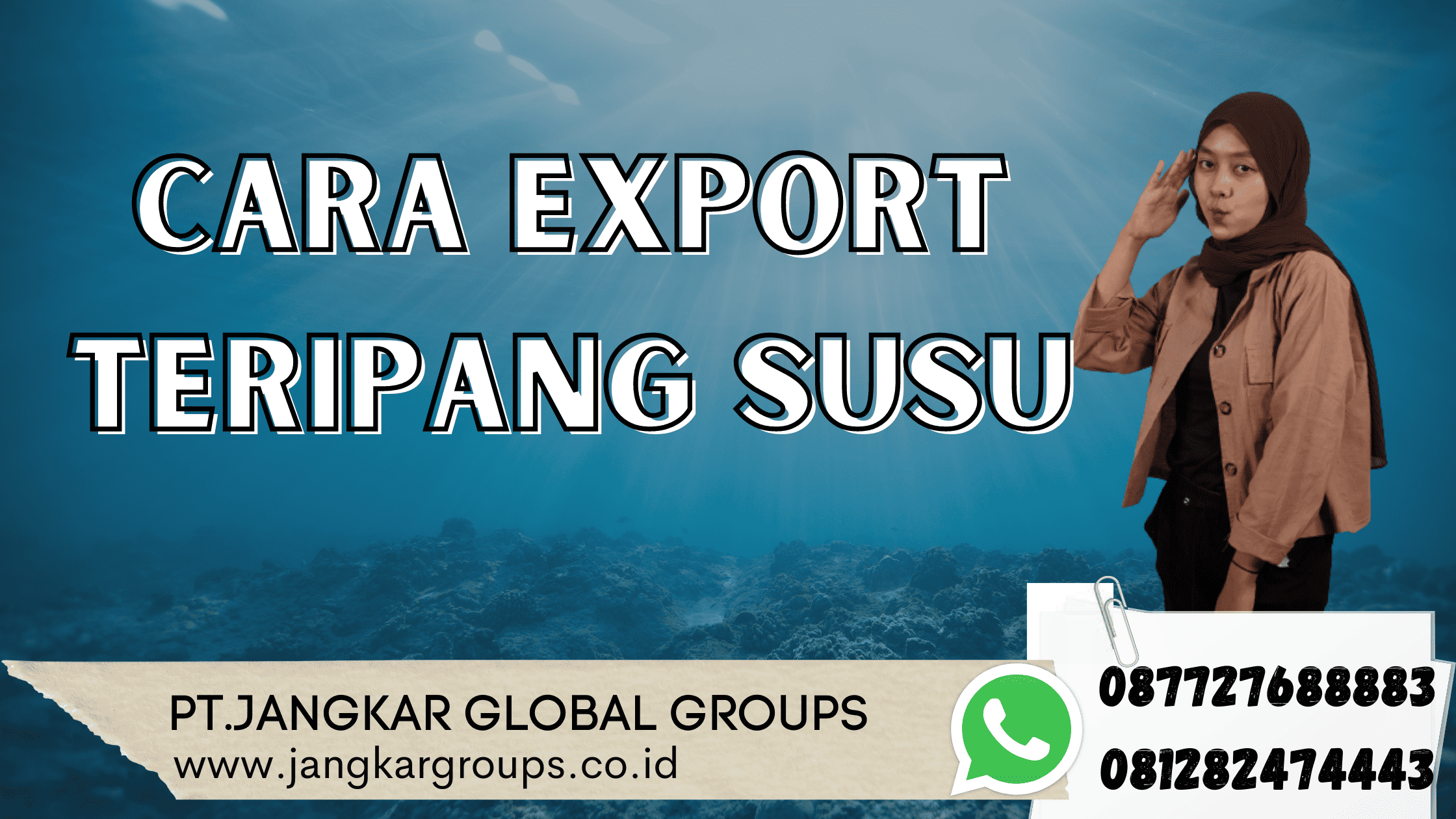 Cara Export Teripang Susu