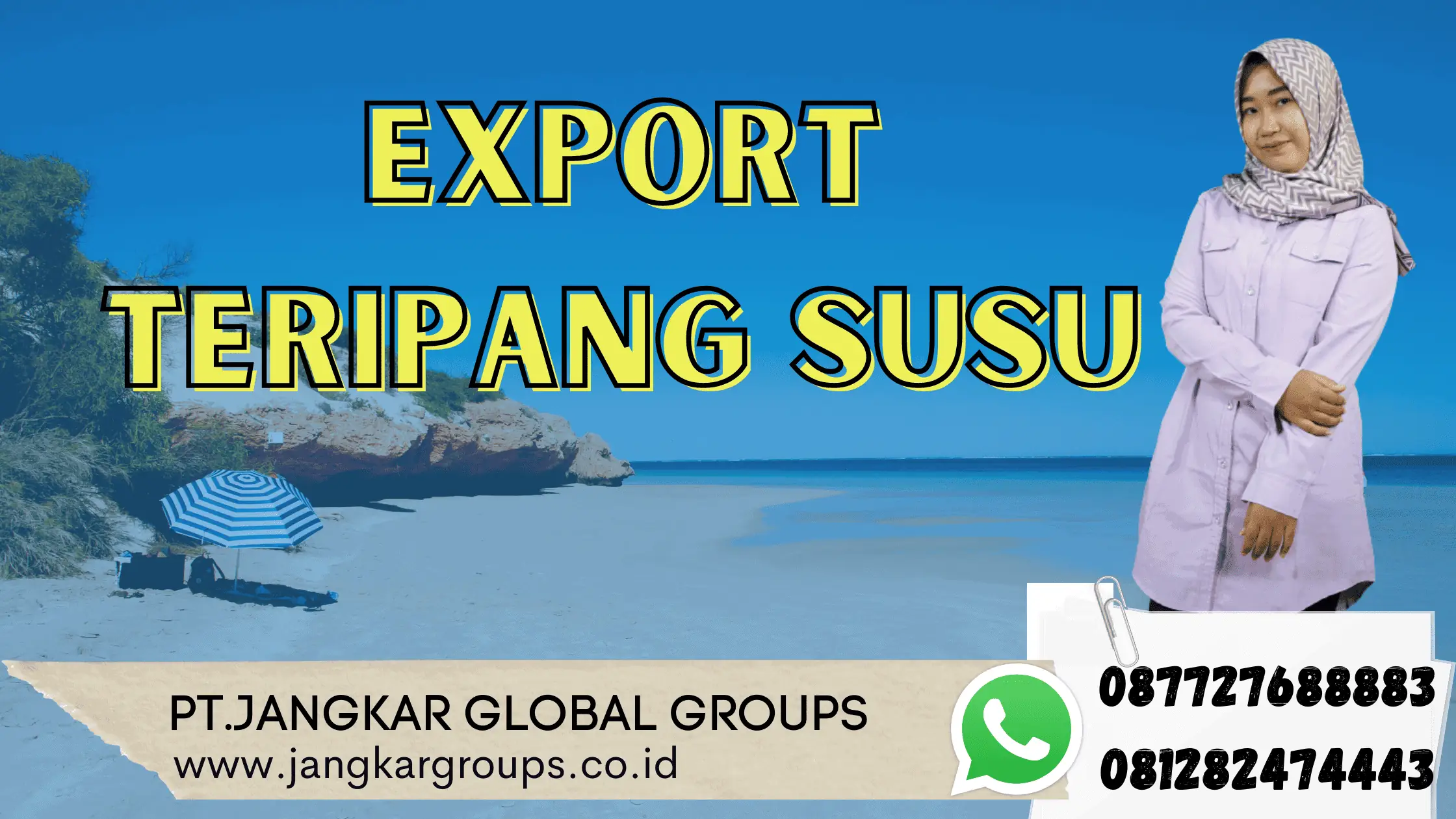 Export Teripang Susu