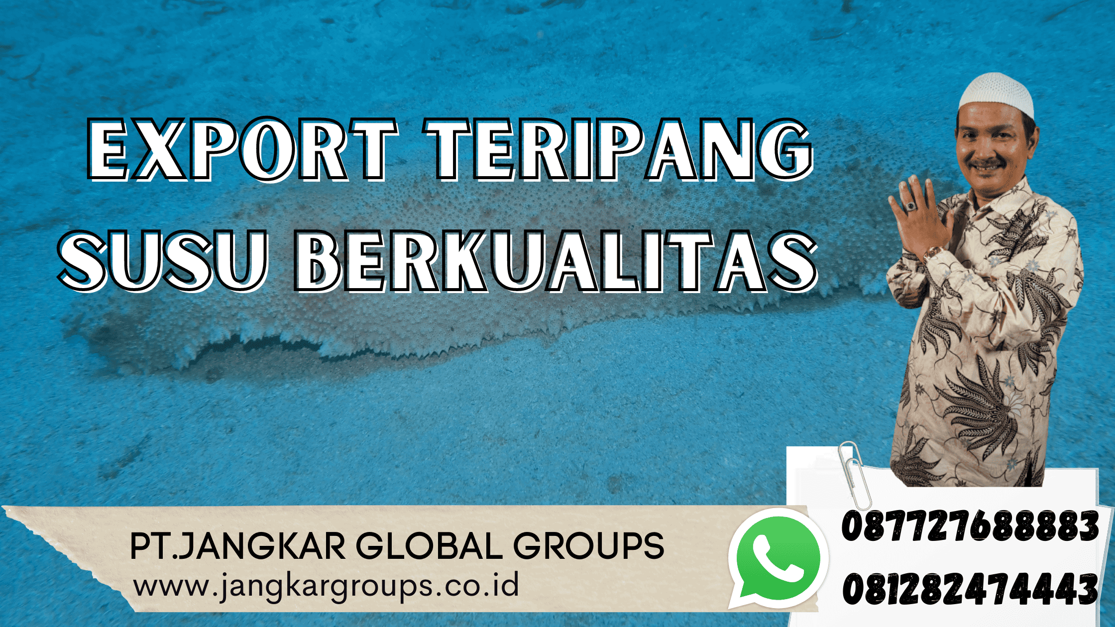 Export Teripang Susu Berkualitas 