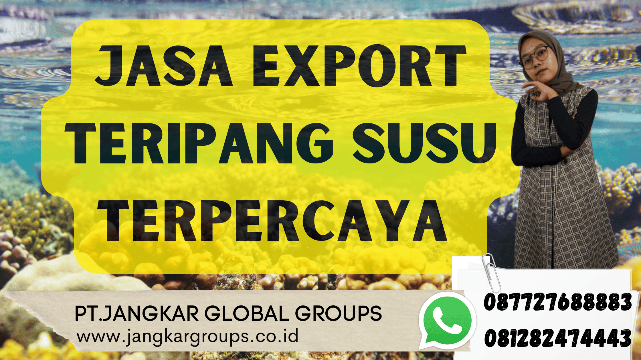 Jasa Export Teripang Susu Terpercaya 