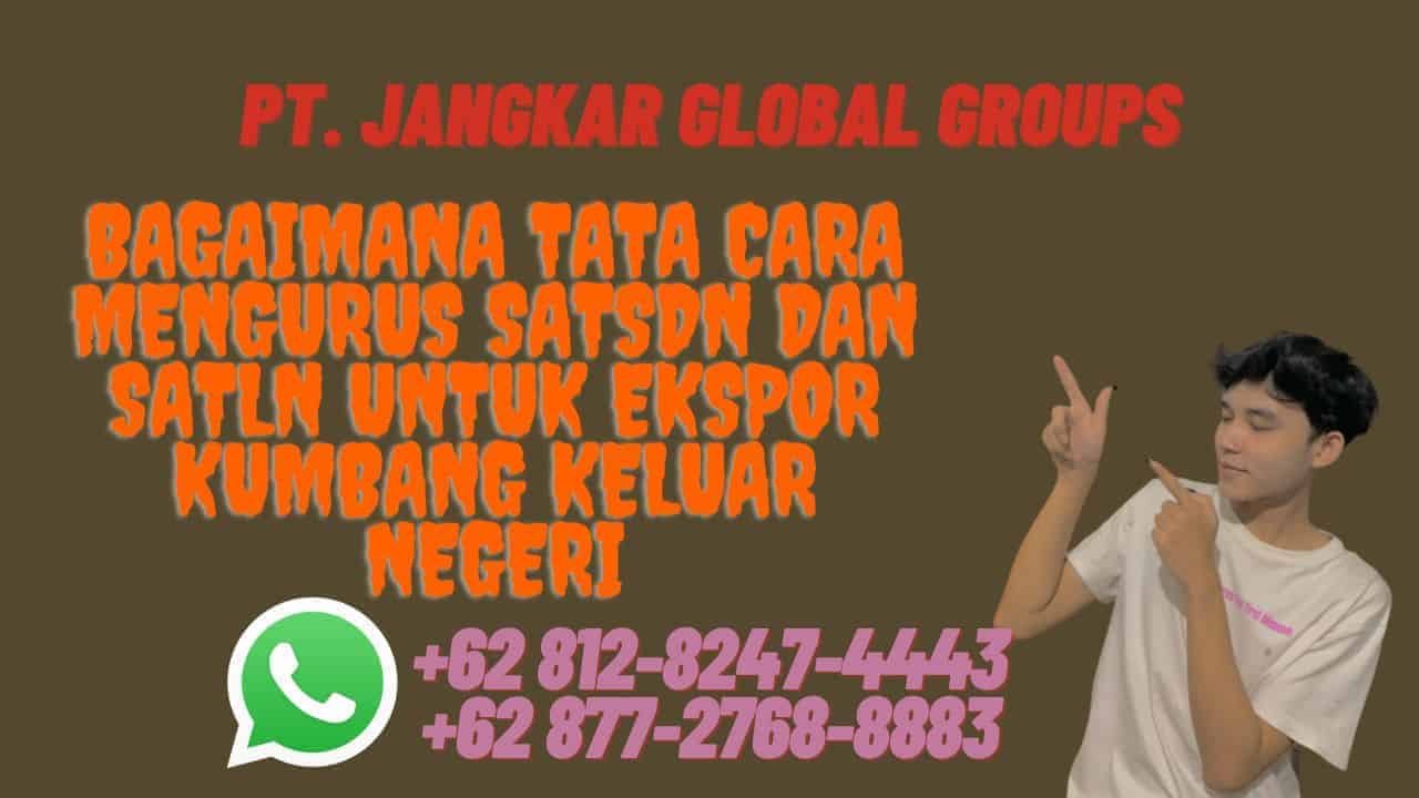 Bagaimana tata cara mengurus SATSDN dan SATLN untuk EKSPOR KUMBANG KELUAR NEGERI