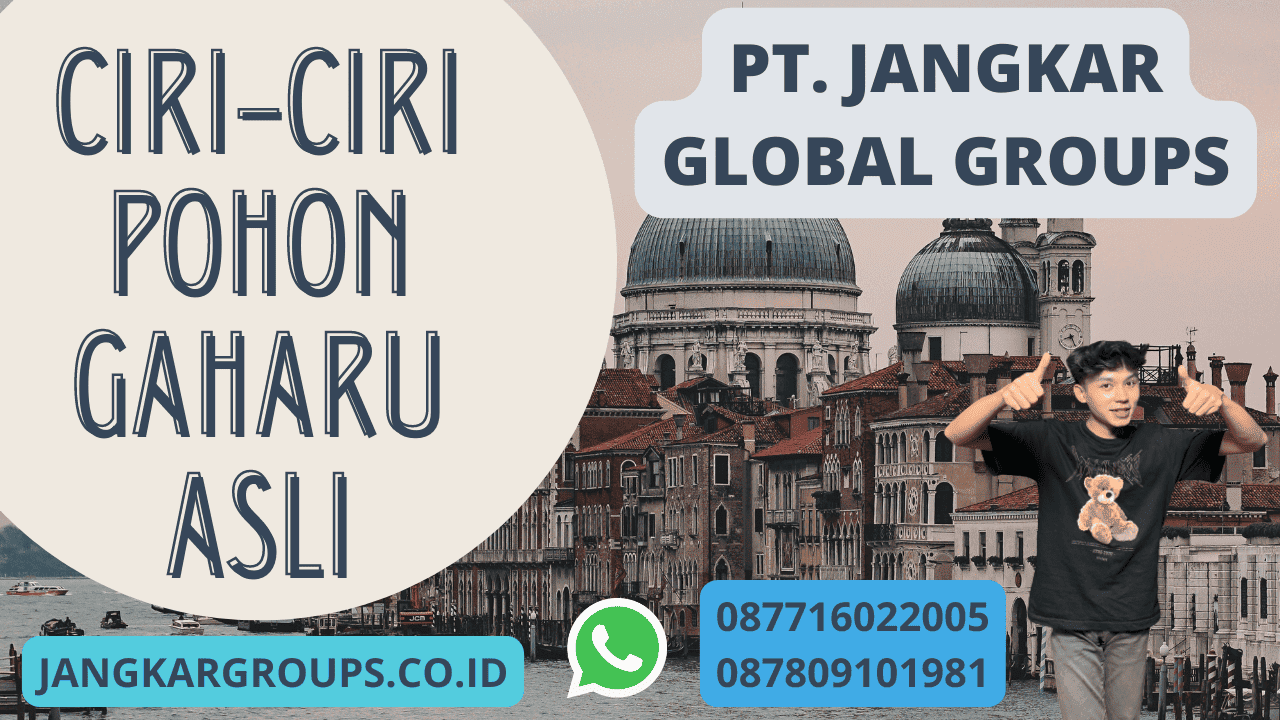 Ciri-Ciri Pohon Gaharu Asli