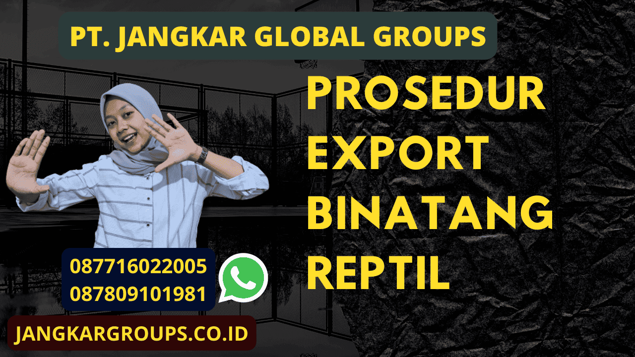 Prosedur Export Binatang Reptil
