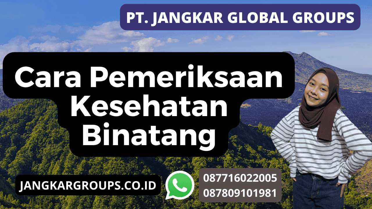 Pemeriksaan Kesehatan Binatang