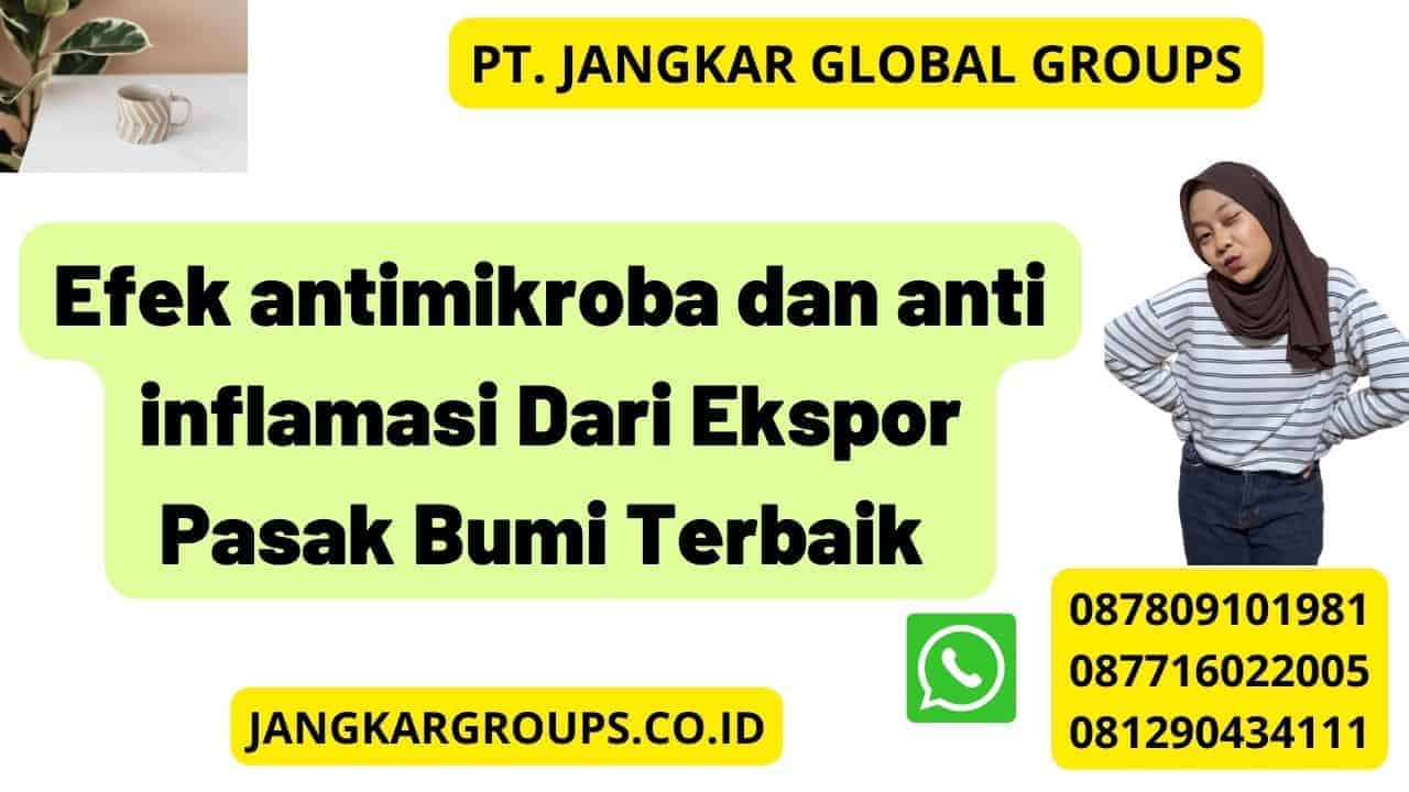 Efek antimikroba dan anti inflamasi Dari Ekspor Pasak Bumi Terbaik 