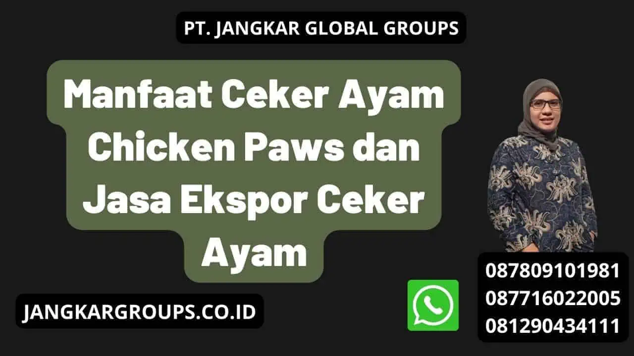 Manfaat Ceker Ayam Chicken Paws dan Jasa Ekspor Ceker Ayam