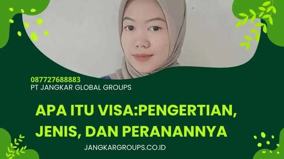 Apa Itu Visa:Pengertian, Jenis, dan Peranannya