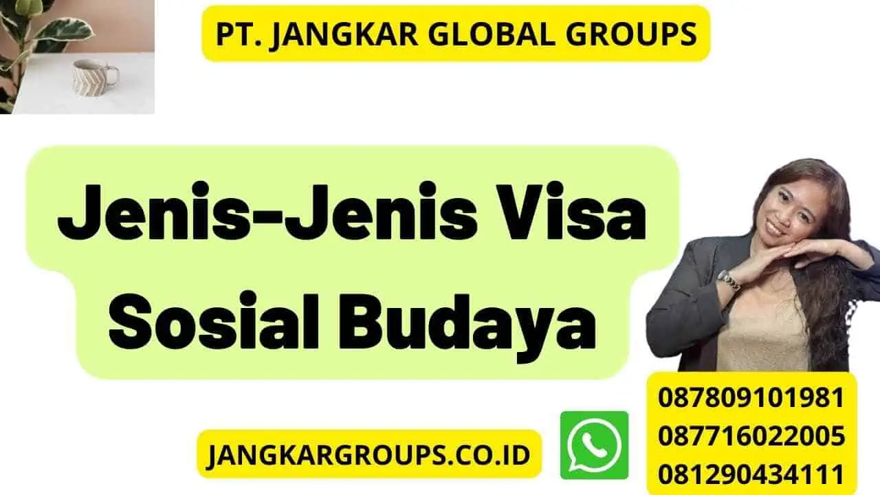 Jenis-Jenis Visa Sosial Budaya