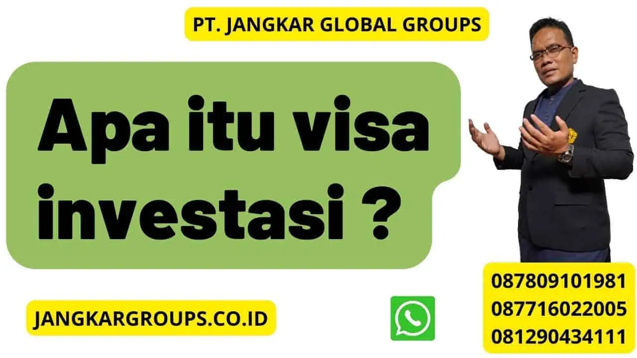 Apa itu visa investasi ?