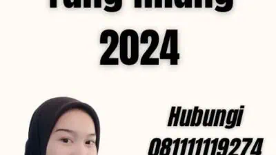 Cek No Paspor Yang Hilang 2024