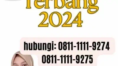 Paspor Mobil Terbang 2024