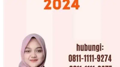 Pasport Online Error 2024