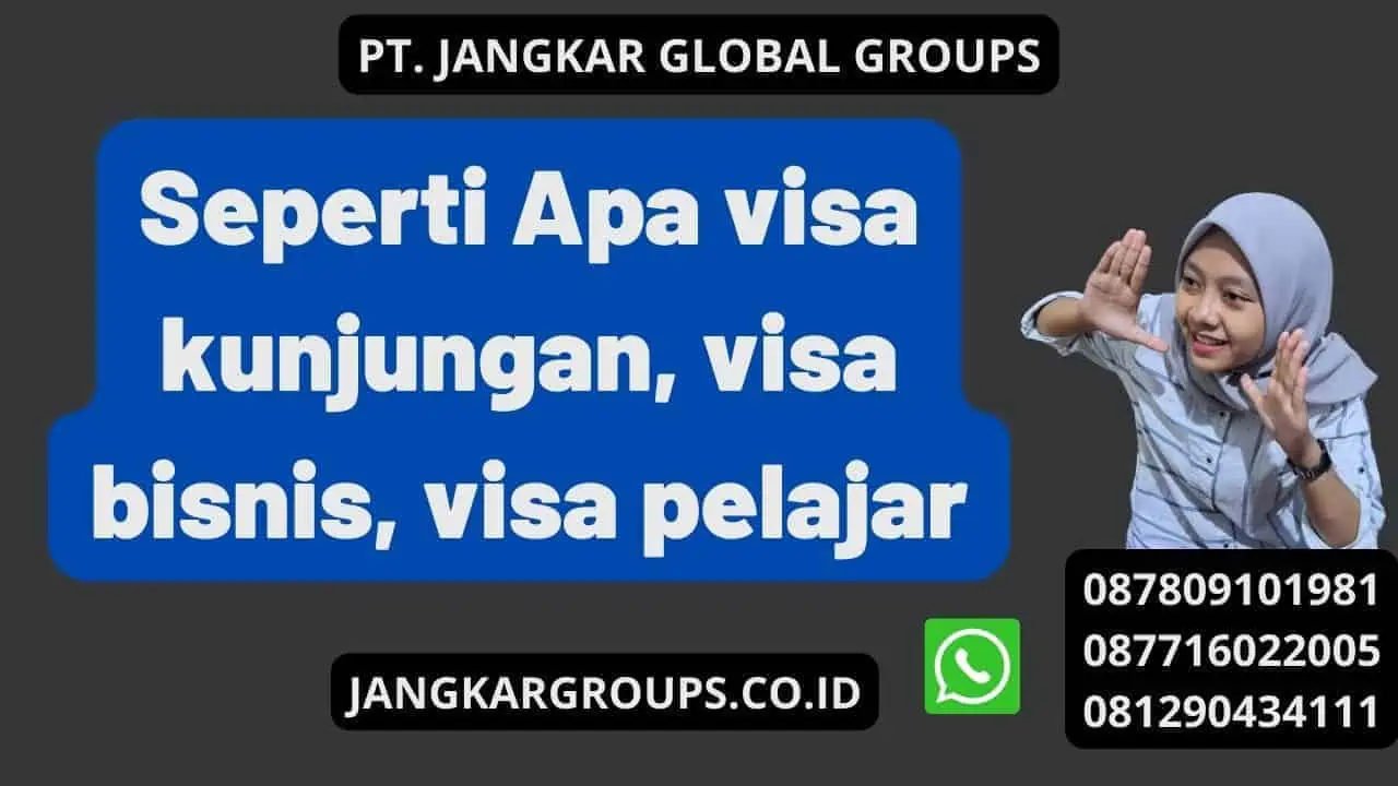 Seperti Apa visa kunjungan, visa bisnis, visa pelajar