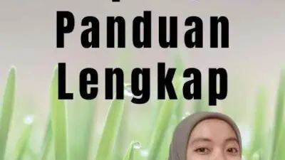 Agen TKI Resmi Ke Jepang Panduan Lengkap