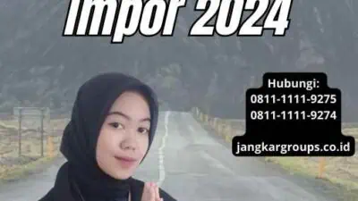 Angka Pengenal Impor 2024