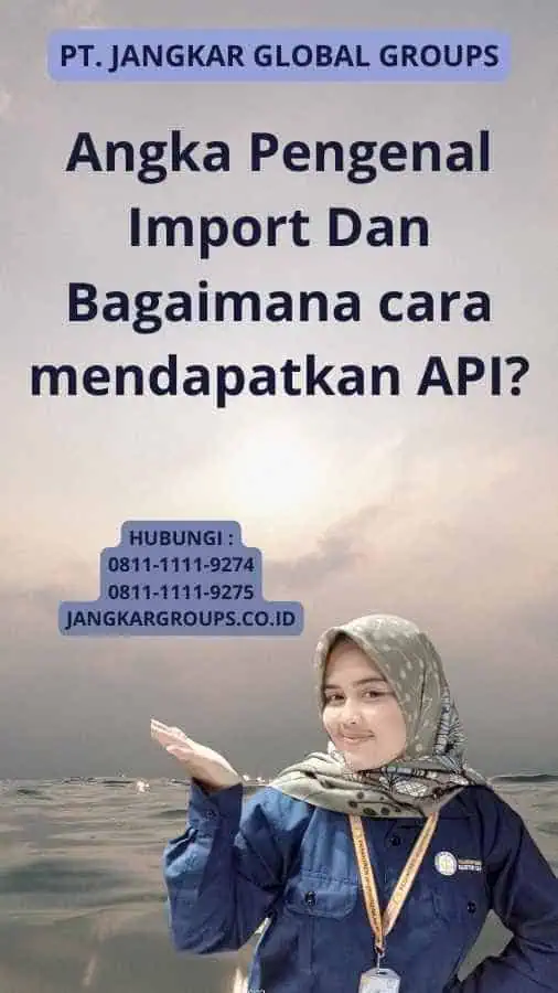 Angka Pengenal Import Dan Bagaimana cara mendapatkan API?