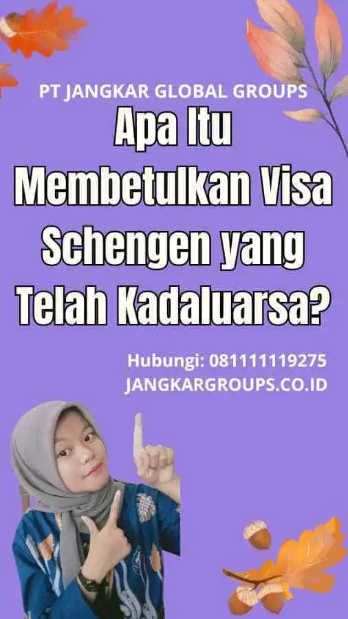 Apa Itu Membetulkan Visa Schengen yang Telah Kadaluarsa