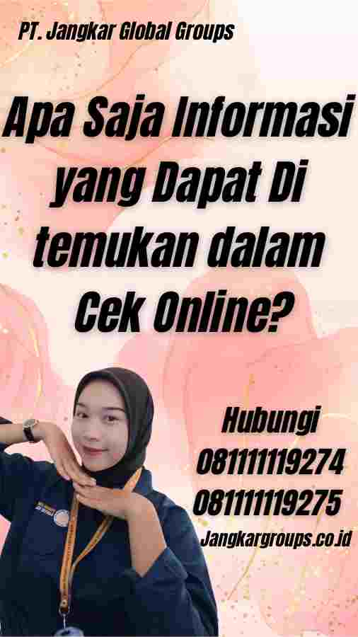 Apa Saja Informasi yang Dapat Di temukan dalam Cek Online?