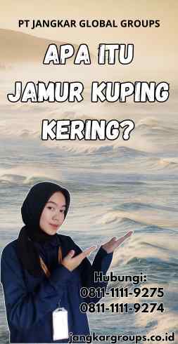 Apa itu Jamur Kuping Kering