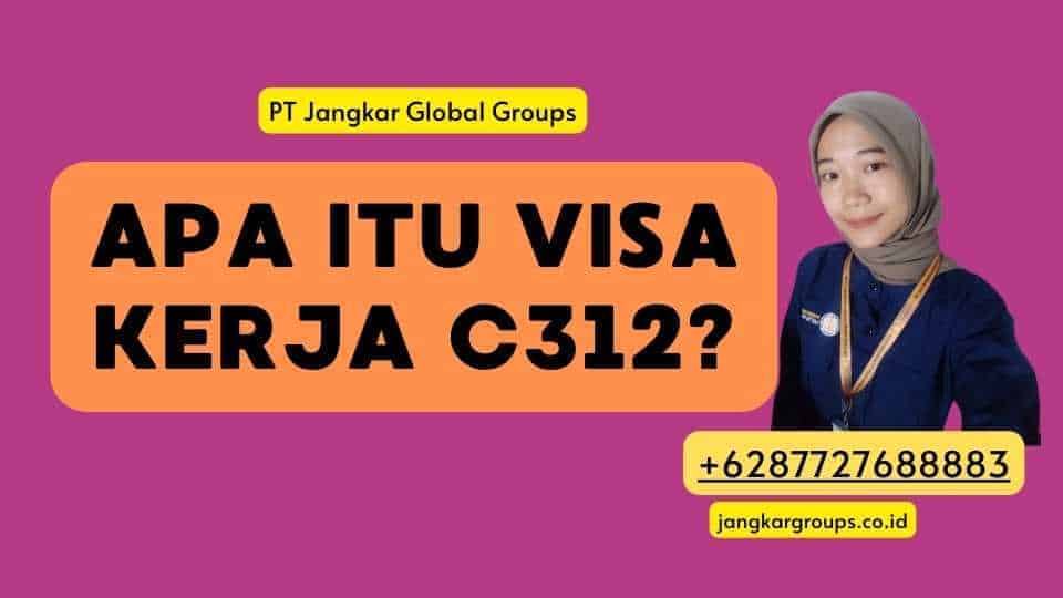 Apa itu Visa Kerja C312?