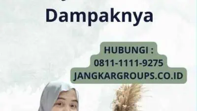 Bea Masuk Import Mainan - Persyaratan, dan Dampaknya