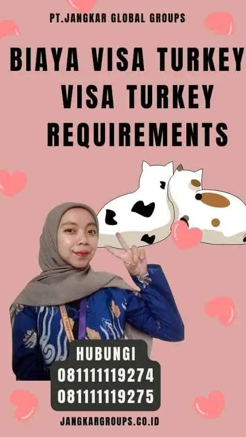 Biaya Visa Turkey - Visa Turkey Requirements