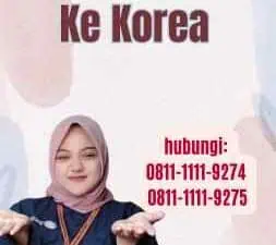 Cara Urus Visa Ke Korea