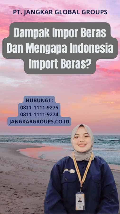 Dampak Impor Beras Dan Mengapa Indonesia Import Beras?