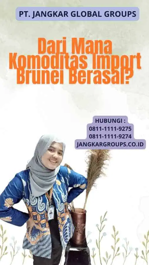 Dari Mana Komoditas Import Brunei Berasal?