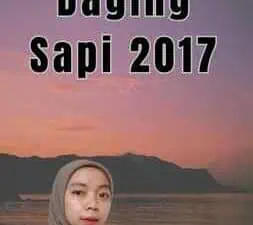 Data Impor Daging Sapi 2017