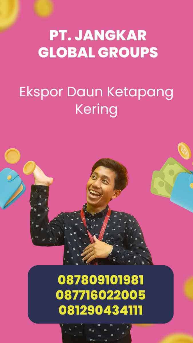 Ekspor Daun Ketapang Kering