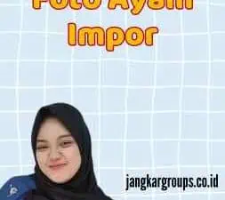 Foto Ayam Impor