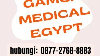 Gamca Medical Egypt