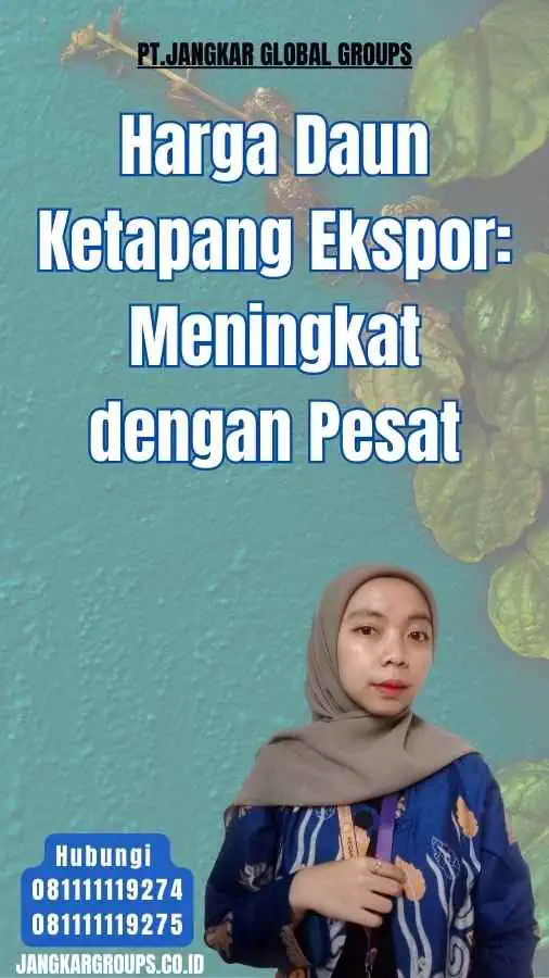 Harga Daun Ketapang Ekspor Meningkat dengan Pesat