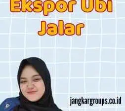 Harga Ekspor Ubi Jalar